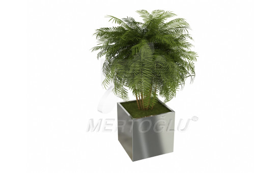 MKS-002